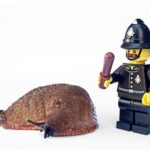 Best Pest Control Surrey Expert Solutions for Effective Home Protection