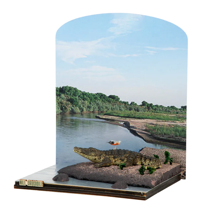 How Pet Preventive Care and Creative Craft Kits Bring Wellness and Joy Into Everyday Life