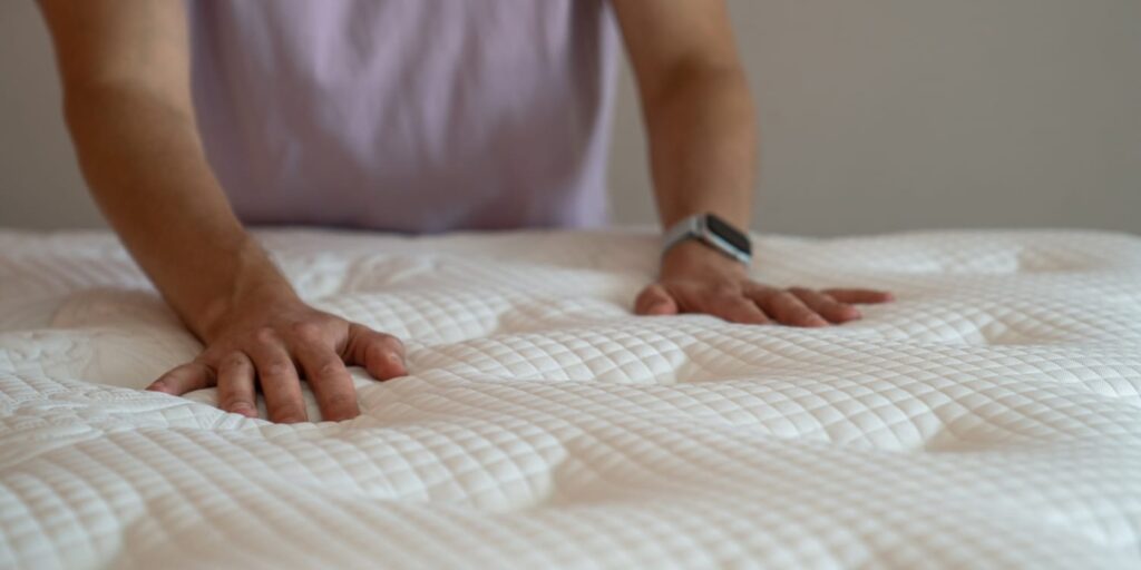 Trusted Bed Bug Removal Experts Near You