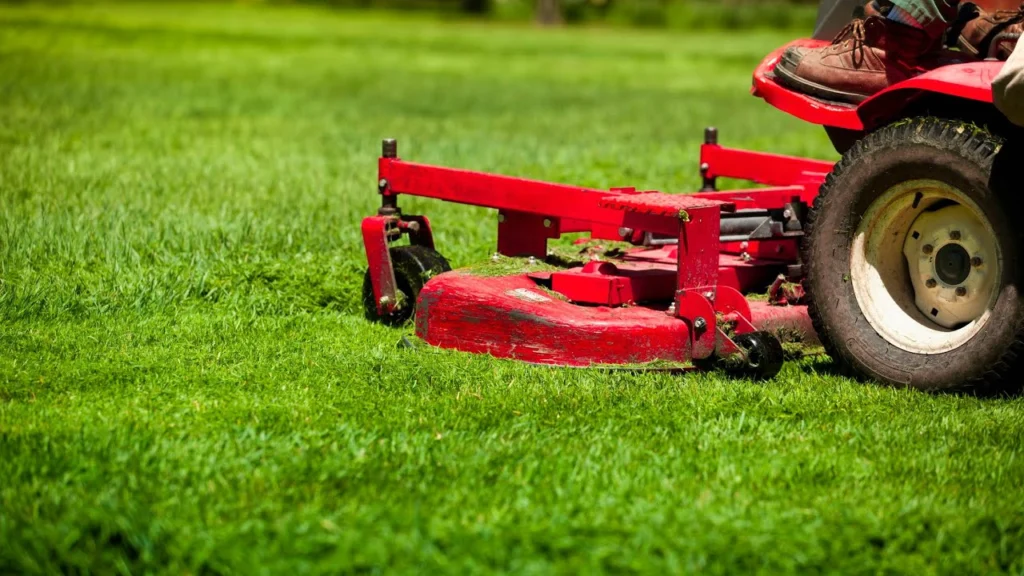 Lawn Mowing Service in New York, NY