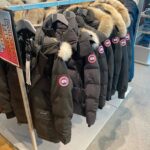 doudoune paragoose Our Story