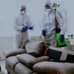 Effective Pest Control in Gujranwala: Reliable Solutions for a Healthy Home
