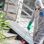 Dengue Spray and Rodent Control: Essential Solutions for a Healthy and Safe Environment