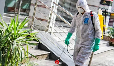 Dengue Spray and Rodent Control: Essential Solutions for a Healthy and Safe Environment